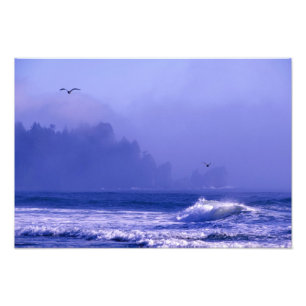 USA, Washington, Olympic National Park. Dimma Fototryck