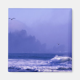 USA, Washington, Olympic National Park. Dimma Magnet