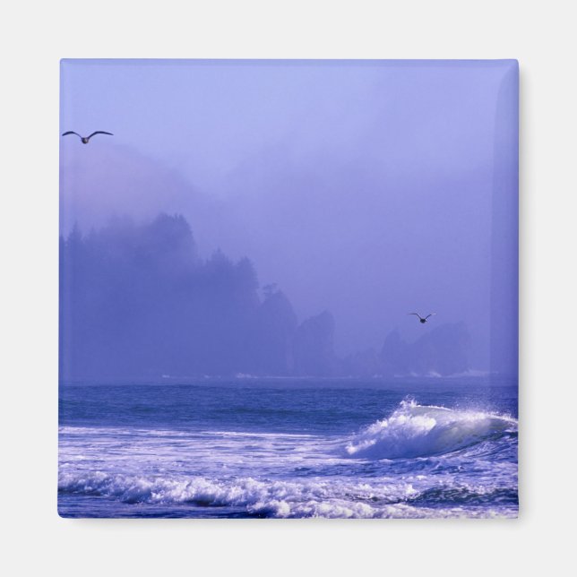USA, Washington, Olympic National Park. Dimma Magnet (Framsidan)