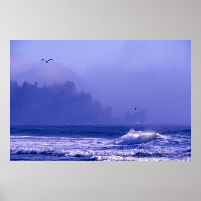 USA, Washington, Olympic National Park. Fog Poster (Framsidan)