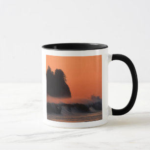 USA, Washington, Olympic National Park, Hav Mugg