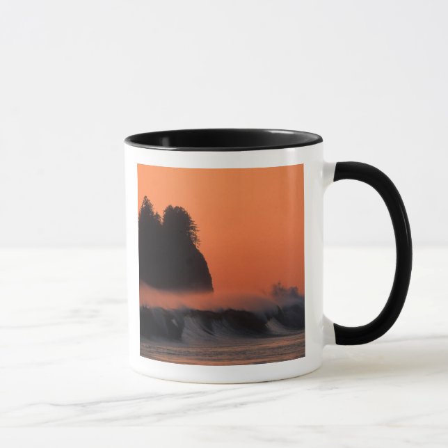 USA, Washington, Olympic National Park, Hav Mugg (Höger)