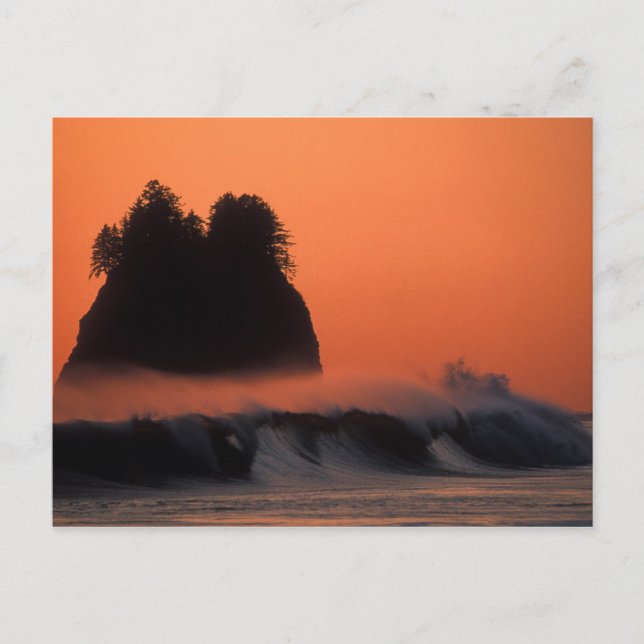 USA, Washington, Olympic National Park, Hav Vykort (Framsida)