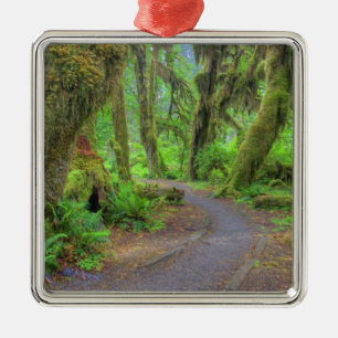 USA, Washington, Olympic National Park, Hoh 2 Julgransprydnad Metall