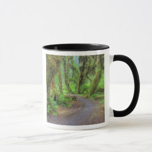 USA, Washington, Olympic National Park, Hoh 2 Mugg