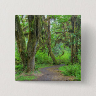 USA, Washington, Olympic National Park, Hoh Knapp