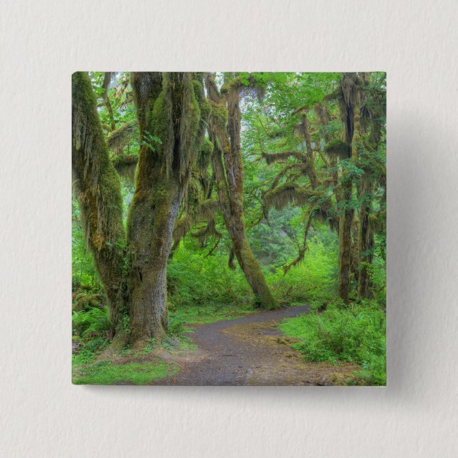 USA, Washington, Olympic National Park, Hoh Knapp (Framsida)