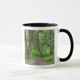 USA, Washington, Olympic National Park, Hoh Mugg