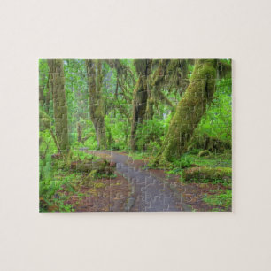 USA, Washington, Olympic National Park, Hoh-regn Pussel