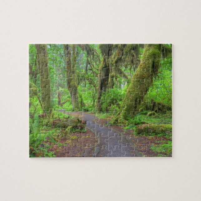 USA, Washington, Olympic National Park, Hoh-regn Pussel (Horisontell)