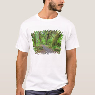 USA, Washington, Olympic National Park, Hoh-regn Tee