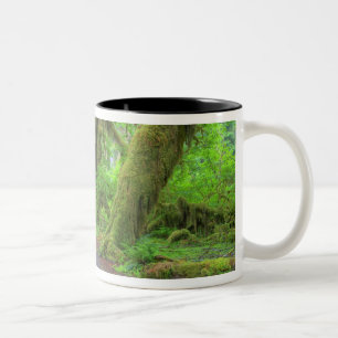 USA, Washington, Olympic National Park, Hoh-regn Två-Tonad Mugg