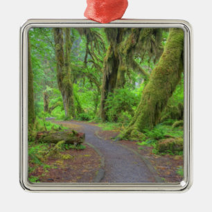 USA, Washington, Olympic National Park, Hoh regnsk Julgransprydnad Metall