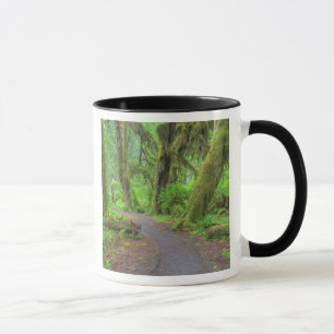 USA, Washington, Olympic National Park, Hoh-regnsk Mugg