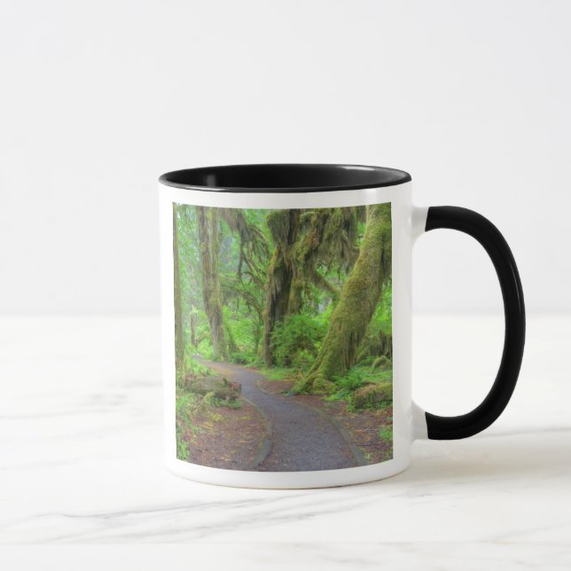 USA, Washington, Olympic National Park, Hoh-regnsk Mugg (Höger)