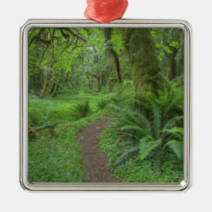 USA, Washington, Olympic National Park, Julgransprydnad Metall