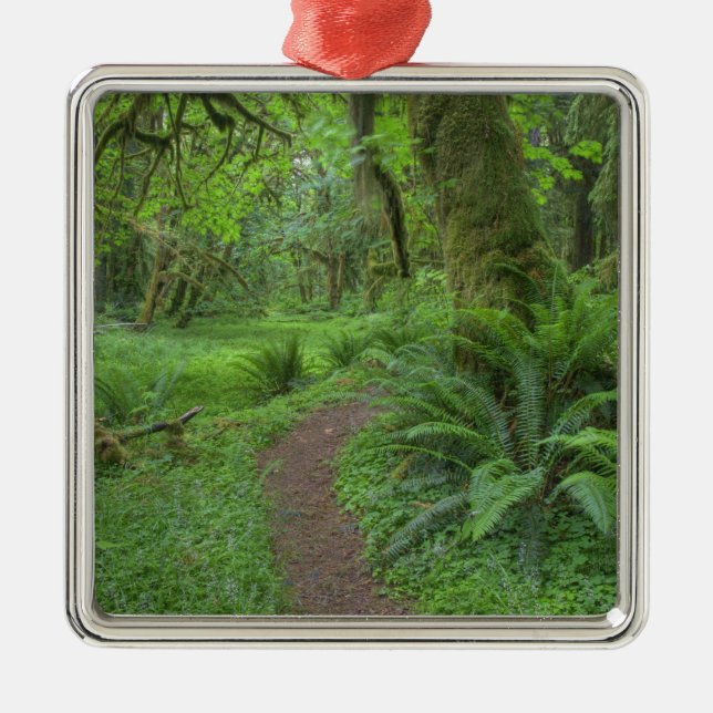 USA, Washington, Olympic National Park Julgransprydnad Metall (Framsidan)