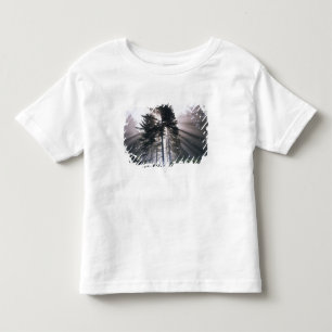 USA, Washington, Olympic National Park, Morgon T-shirt