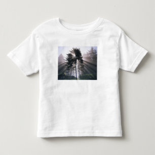 USA, Washington, Olympic National Park, Morgon Tee Shirt