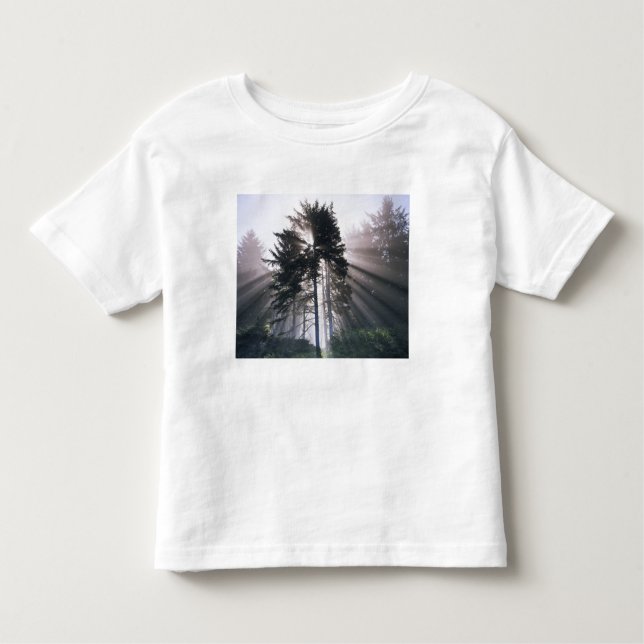 USA, Washington, Olympic National Park, morgon Tee Shirt (Framsida)