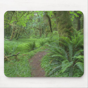 USA, Washington, Olympic National Park, Musmatta