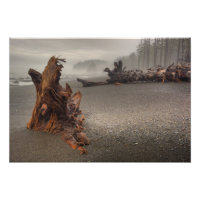 USA, Washington, Olympic National Park, Rialto 2