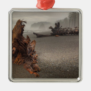 USA, Washington, Olympic National Park, Rialto 2 Julgransprydnad Metall