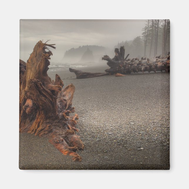 USA, Washington, Olympic National Park, Rialto 2 Magnet (Framsidan)