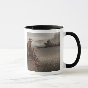 USA, Washington, Olympic National Park, Rialto 2 Mugg