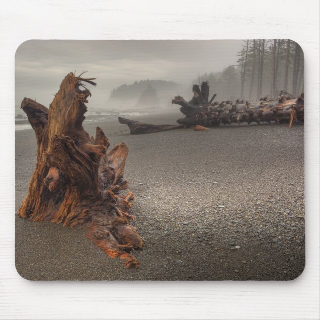 USA, Washington, Olympic National Park, Rialto 2 Musmatta (Framsidan)