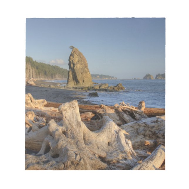USA, Washington, Olympic National Park, Rialto Anteckningsblock (Framsida)