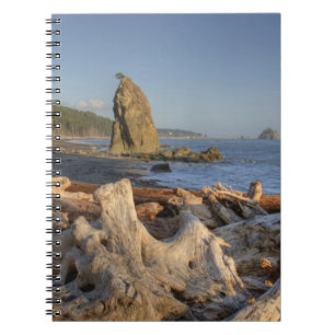 USA, Washington, Olympic National Park, Rialto Anteckningsbok Med Spiral