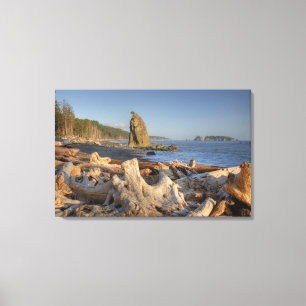 USA, Washington, Olympic National Park, Rialto Canvastryck