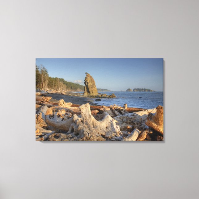 USA, Washington, Olympic National Park, Rialto Canvastryck (Framsida)
