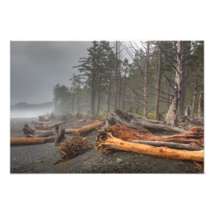 USA, Washington, Olympic National Park, Rialto Fototryck