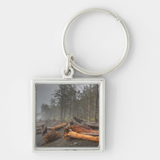 USA, Washington, Olympic National Park, Rialto Fyrkantig Silverfärgad Nyckelring (Framsidan)
