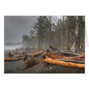 USA, Washington, Olympic National Park, Rialto Hälsningskort