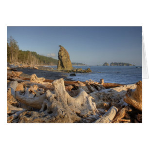 USA, Washington, Olympic National Park, Rialto Hälsningskort