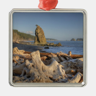 USA, Washington, Olympic National Park, Rialto Julgransprydnad Metall