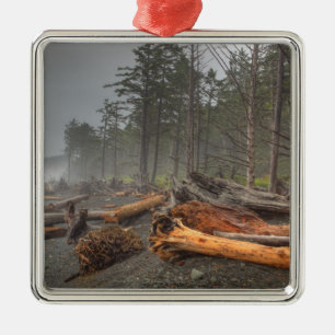 USA, Washington, Olympic National Park, Rialto Julgransprydnad Metall