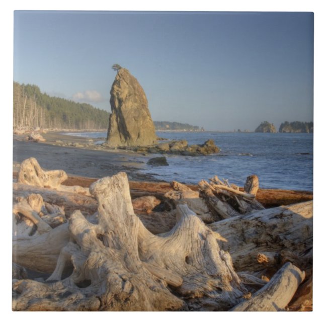 USA, Washington, Olympic National Park, Rialto Kakelplatta (Framsidan)