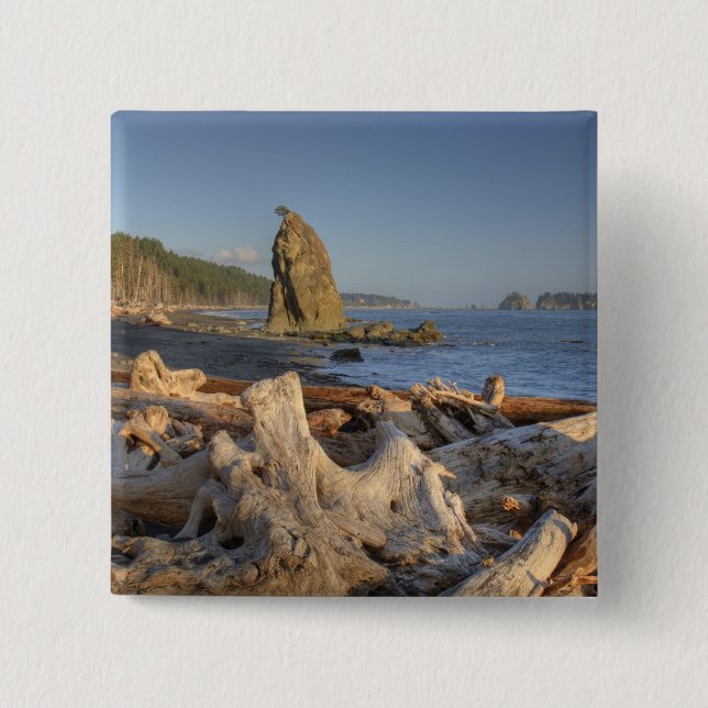 USA, Washington, Olympic National Park, Rialto Knapp (Framsida)