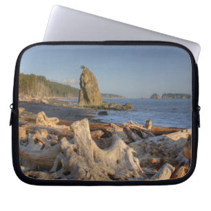USA, Washington, Olympic National Park, Rialto Laptop Fodral