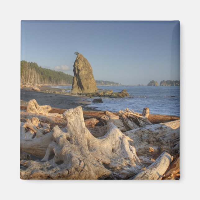 USA, Washington, Olympic National Park, Rialto Magnet (Framsidan)