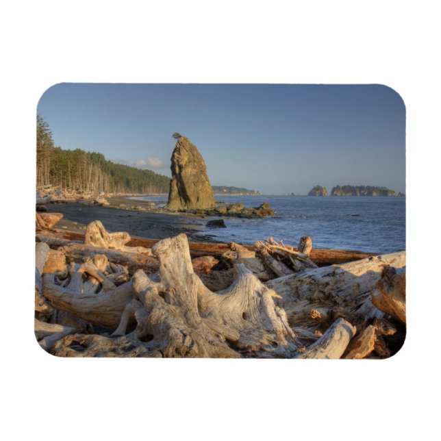 USA, Washington, Olympic National Park, Rialto Magnet (Horisontell)