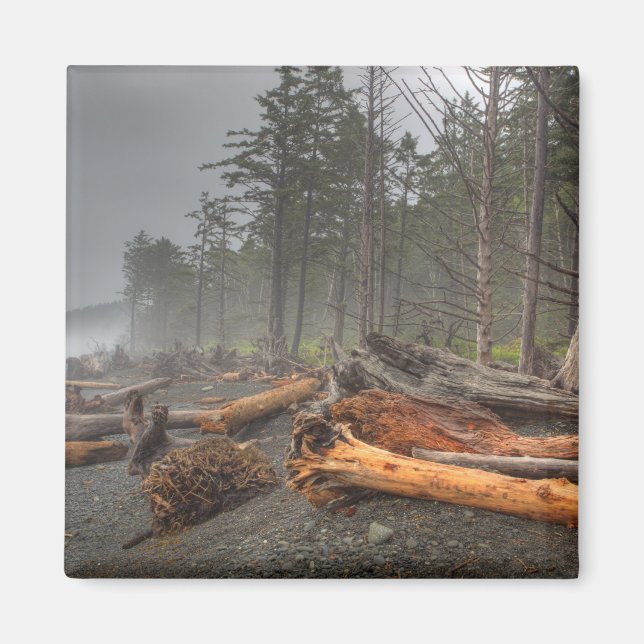 USA, Washington, Olympic National Park, Rialto Magnet (Framsidan)