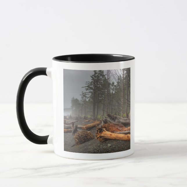 USA, Washington, Olympic National Park, Rialto Mugg (Vänster)