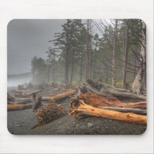 USA, Washington, Olympic National Park, Rialto Musmatta