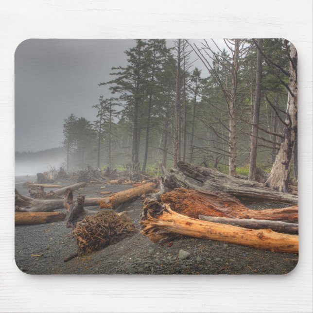 USA, Washington, Olympic National Park, Rialto Musmatta (Framsidan)
