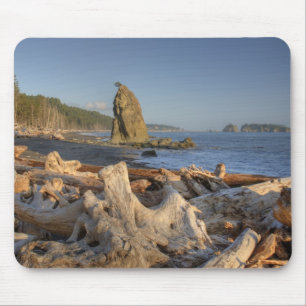 USA, Washington, Olympic National Park, Rialto Musmatta